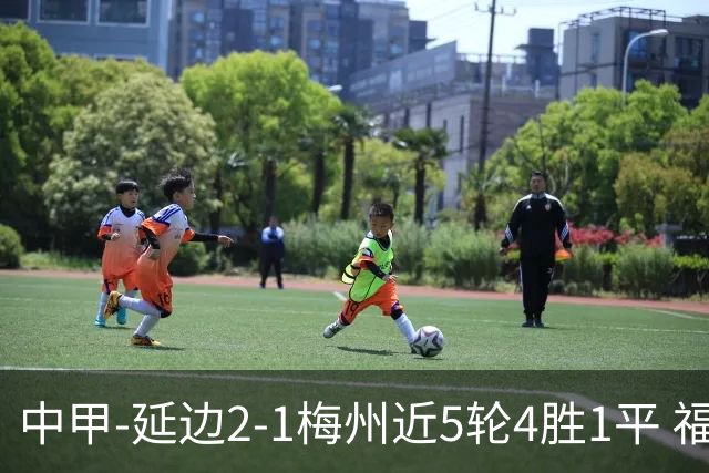 中甲-延边2-1梅州近5轮4胜1平 福布斯高难度破门杨超声头球吊射