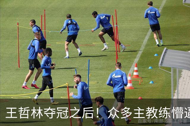 王哲林夺冠之后！众多主教练懵逼，就这个数据跟胡金秋差远了