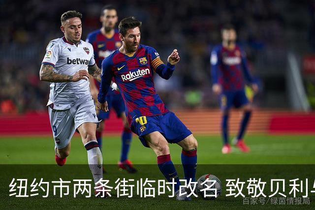 纽约市两条街临时改名 致敬贝利与亨利